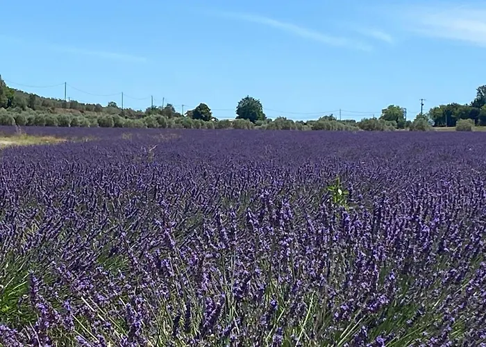 Ferienhaus Cocotte Luberon, Forcalquier Pierrerue (Alpes-de-Haute-Provence)