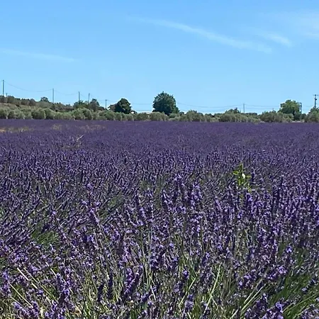 Prázdninový dům Cocotte Luberon, Forcalquier Pierrerue (Alpes-de-Haute-Provence)