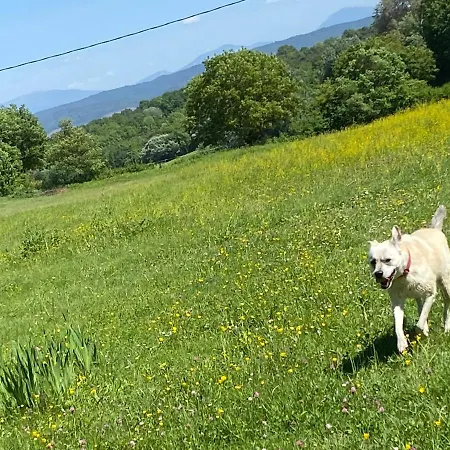 Cocotte Luberon, Forcalquier Prázdninový dům *