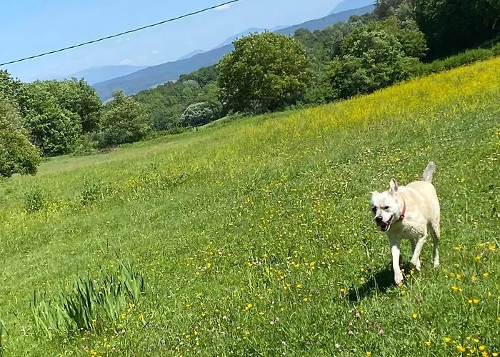 Cocotte Luberon, Forcalquier Hébergement de vacances *